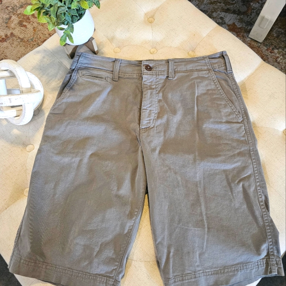 Men's American Eagle Shorts 31"